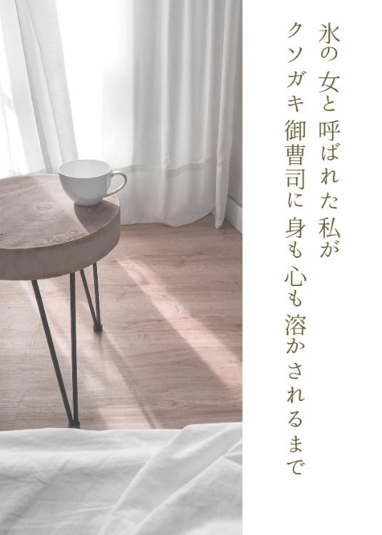 氷の女と呼ばれた私が、クソガキ御曹司に身も心も溶かされるまで。