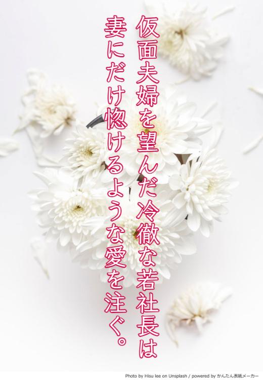 仮面夫婦を望んだ冷徹な若社長は妻にだけ惚けるような愛を注ぐ。【逃亡不可避な溺愛シリーズ１】