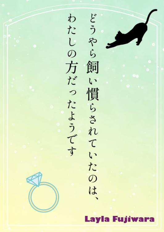 どうやら飼い慣らされていたのは、わたしの方だったようです