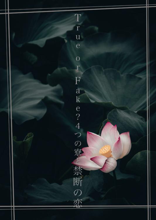 True or Fake? 4つの寮の禁断の恋