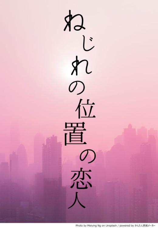 ねじれの位置の恋人-世界でたったひとり、出会ってはいけなかった人‐