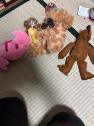 人形や縫いぐるみ