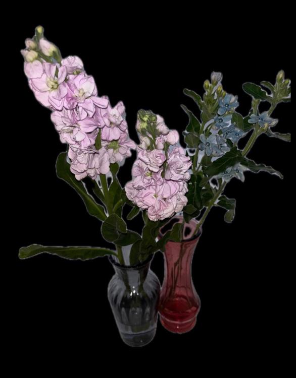 ままごとミュージカル