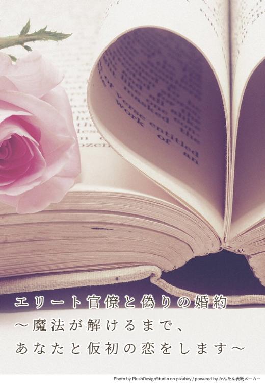 エリート官僚と偽りの婚約 ～魔法が解けるまで、あなたと仮初の恋をします～