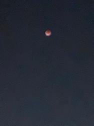 薄っぺらいけど愛してる