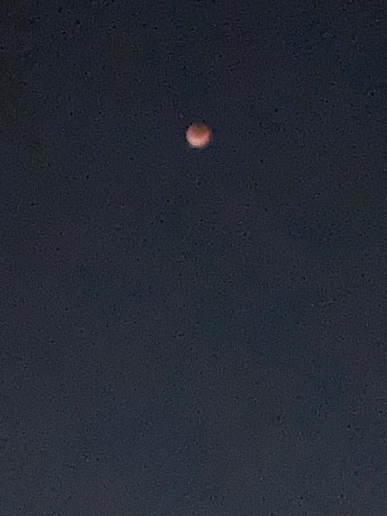 薄っぺらいけど愛してる