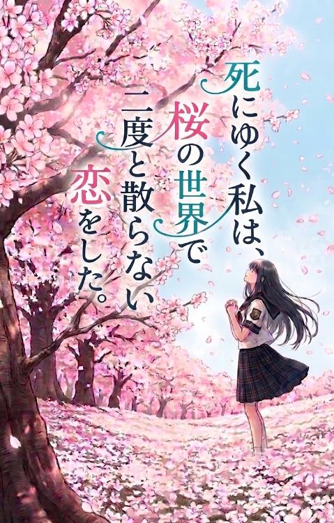 死にゆく私は、桜の世界で二度と散らない恋をした。
