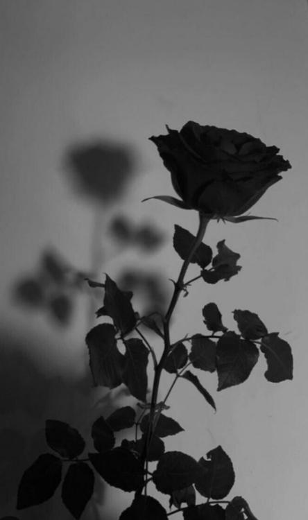 先生✕元ヤン〜反乱の予感！？〜