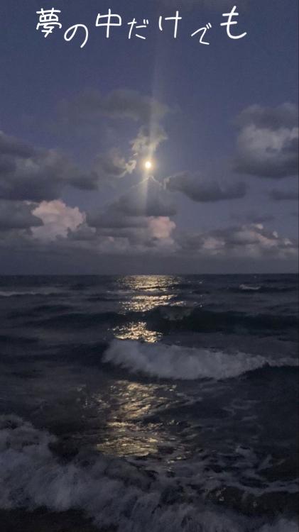 夢の中だけでも