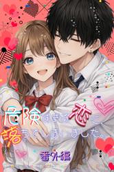 危険すぎる恋に、落ちてしまいました。番外編