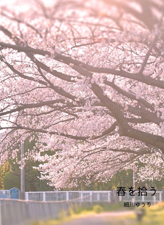春を拾う