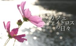 カフェ・ツァイトロスの日々