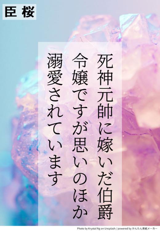 死神元帥に嫁いだ伯爵令嬢ですが、思いのほか溺愛されています