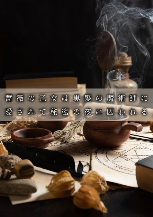 薔薇の乙女は黒髪の魔術師に愛されて秘密の夜に囚われる