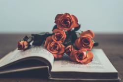 29歳新人女性弁護士 超イケメンハイスペックな先輩に溺愛されちゃいました♡