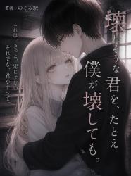壊れそうな君を、たとえ僕が壊しても。