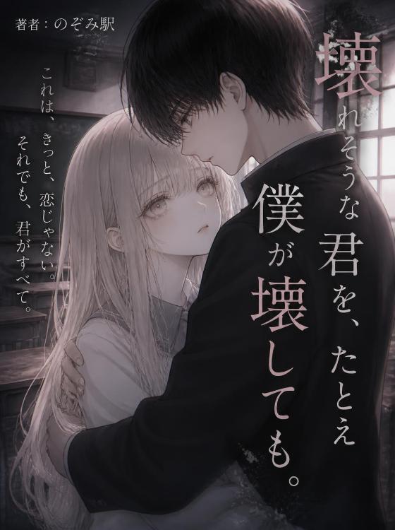 壊れそうな君を、たとえ僕が壊しても。