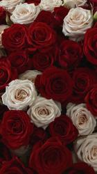 子供ができました