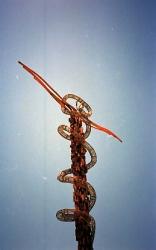 茫漠のヨルダン