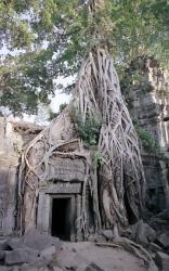 静寂のカンボジア