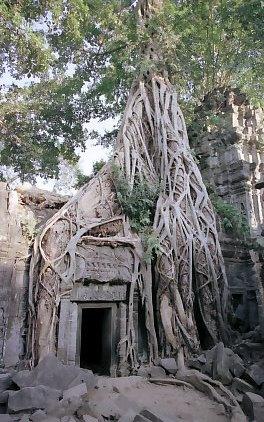 静寂のカンボジア