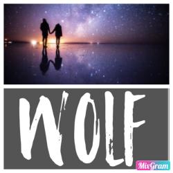 WOLF-孤独のその先-