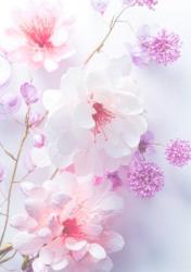 死に損ないの巫女と十年の時を刻む春楡
