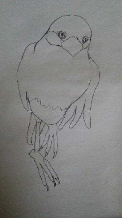 改稿【桃・中編・画】文鳥は要りませんか?