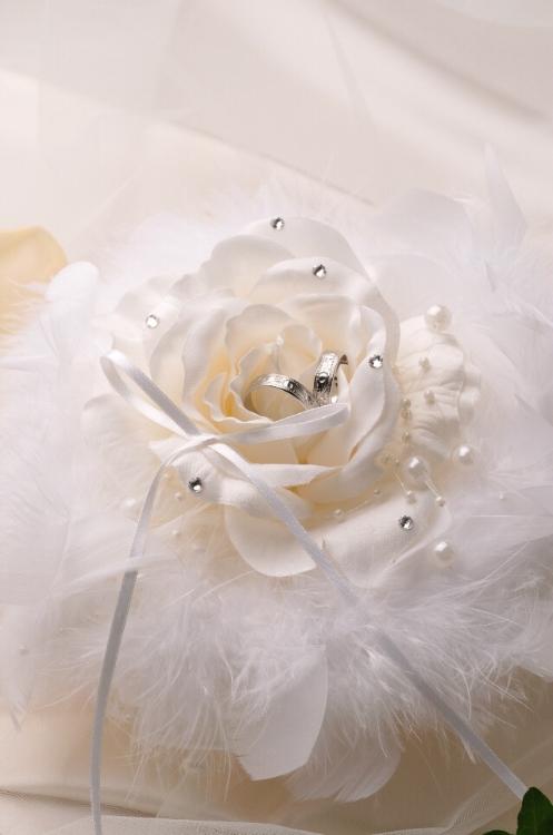 １ページの恋模様