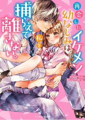 再会したイケメン幼なじみは、私を捕らえて離さない。