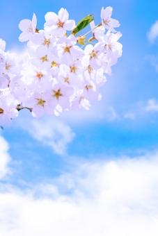 ラストメッセージ