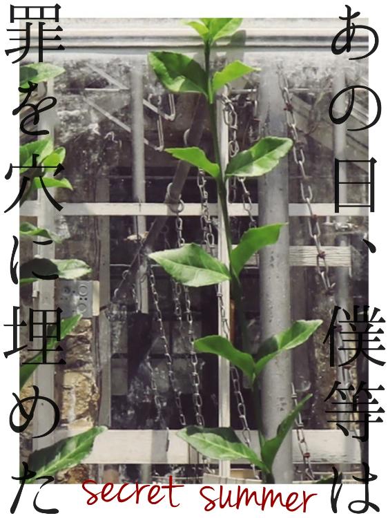あの日､僕等は罪を穴に埋めた─secret summer─