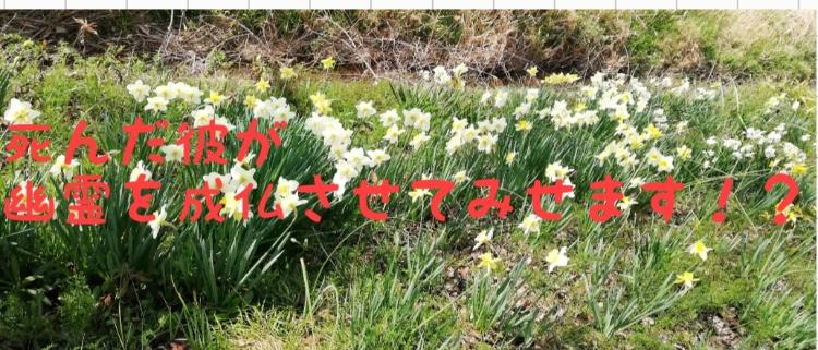 死んだ彼が幽霊を成仏させてみせます！？