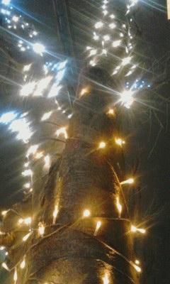 詩集　闇の中の供物