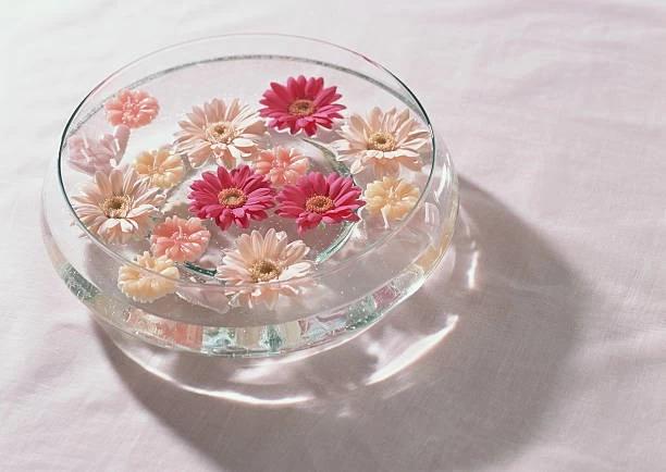 王子様とお姫様の秘密の放課後