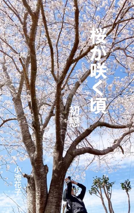 桜が咲く頃～初戀～