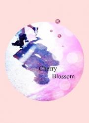 。･*・。。*･Cherry Blossom Ⅵ《シリーズ最新巻♪》･*・。。*･。