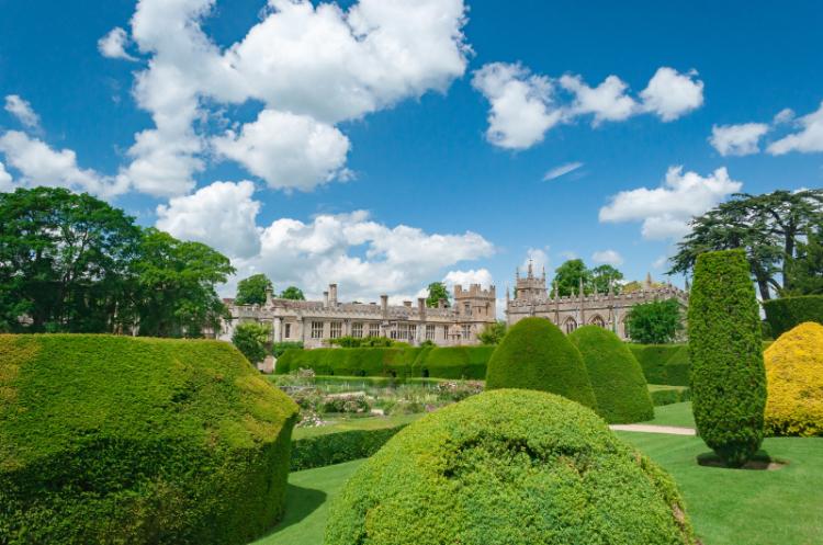 隻眼王の愛のすべて　 < コウ伝 >