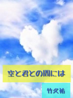 空と君との間には