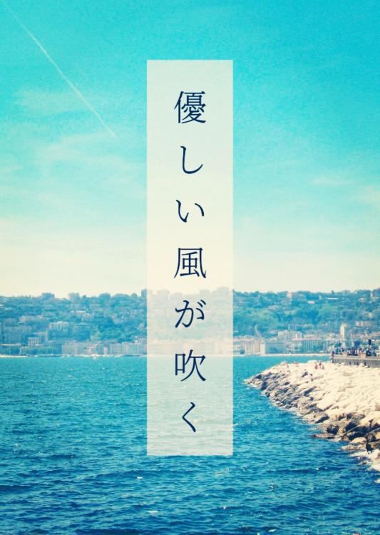 優しい風が吹く