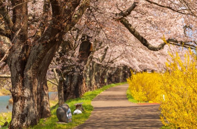 桜新町ワンルーム