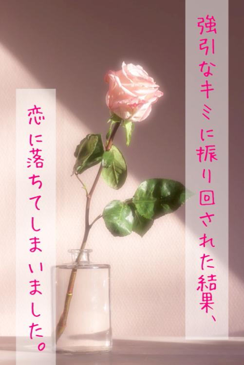 強引なキミに振り回された結果、恋に落ちてしまいました。