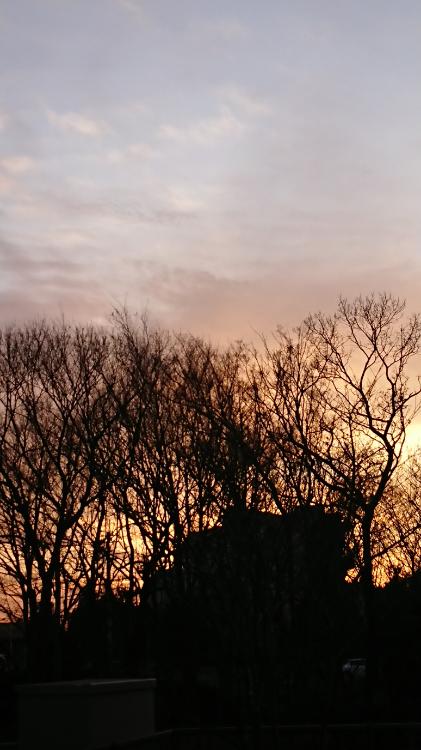 〈BL〉あなたの隣、君の隣