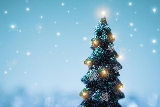 愛しの太ももサンタちゃん