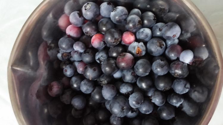 POISON DOROPS《TABOO～秘密の恋～短編集》