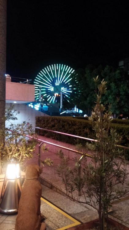 恋輪（ＲＥＮＲＩＮ）