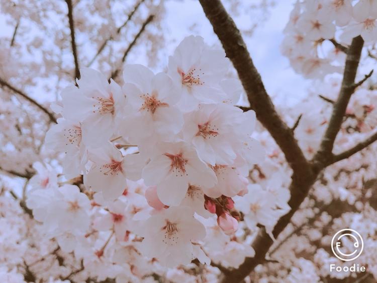 Ｄoll‥ ～愛を知るとき