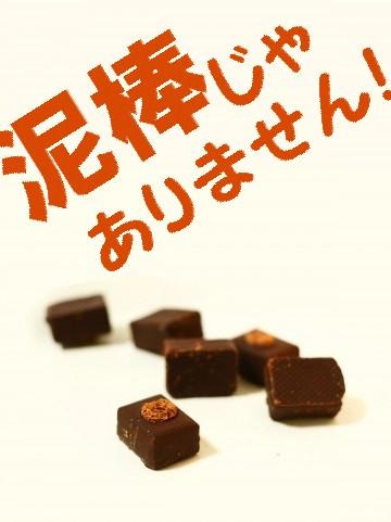 泥棒じゃありません！