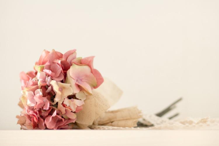 籠の中の君を寵愛する