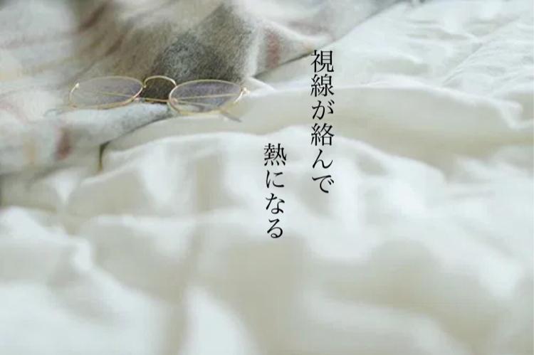 視線が絡んで、熱になる【完結】